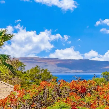Wailea Grand Champions 58 Apartamento